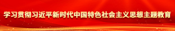 快点用力流水了学习贯彻习近平新时代中国特色社会主义思想主题教育